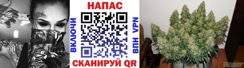omg tor  Гусиноозёрск  Конопля AK-47 